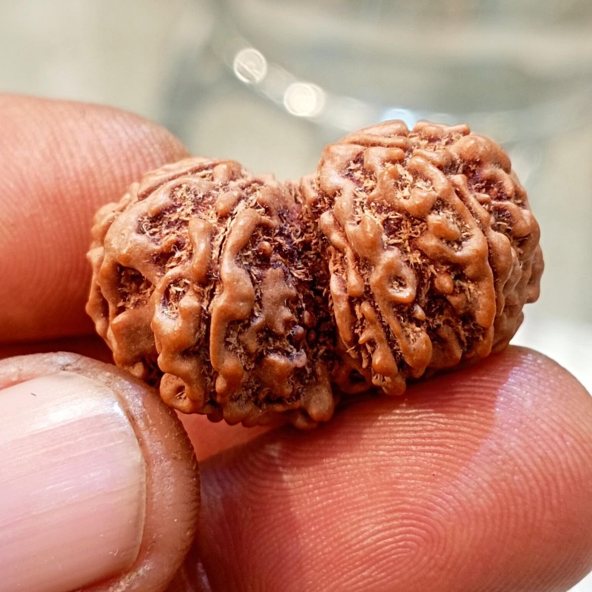 86e5fb616e26462327b07361eb676704