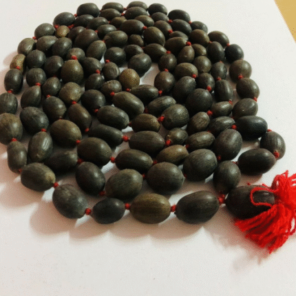Lotus Seed Mala (Kamal Gatta Mala)