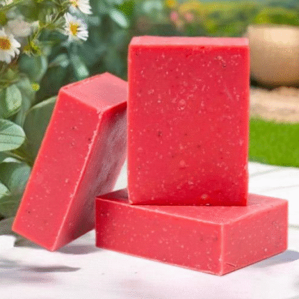 Chitra Nakshatra Soap – Red Creativity Shine Soap